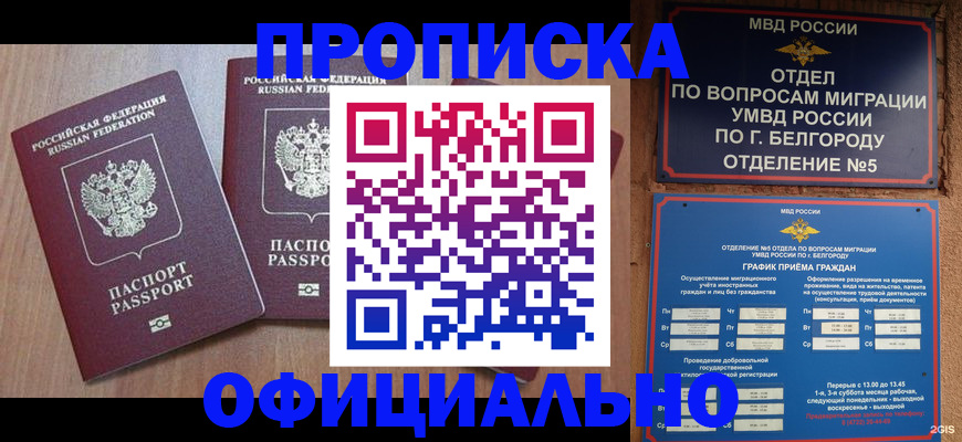 найти адрес прописки в Дубовке